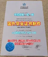 樊振东梅奔F1为何如此后续来了的简单介绍